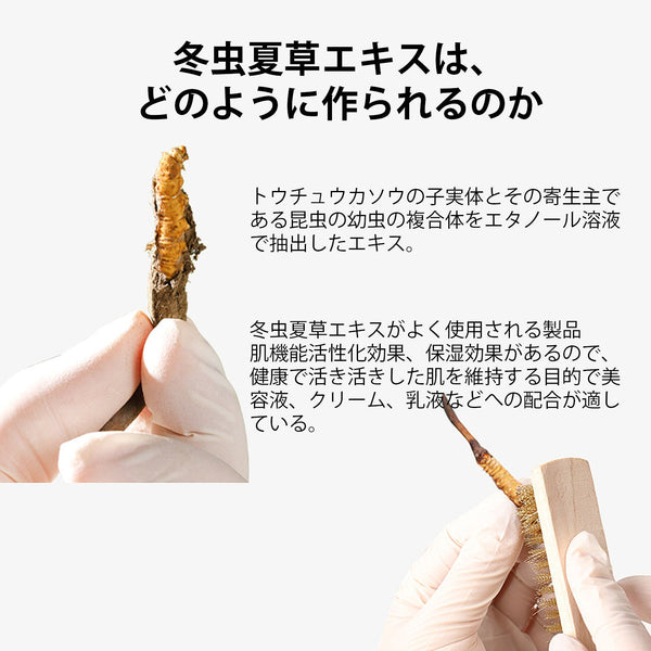 MITOMO 日本製フユムシナツクサタケエキススキンケア 潤い 保湿 フアンペアボトル10mlエキス 【EXSA00003-02-010】