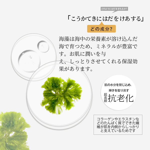 MITOMO 天然海藻浄化フェイシャルエッセンスマスク- 豊かな海藻の栄養で肌をリフレッシュ!【MTSS00512-C-5J】