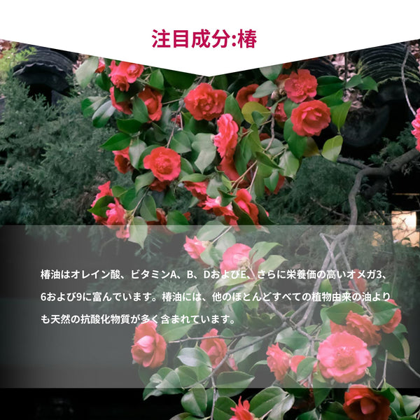 MITOMO <日本製>ツバキフェイシャルエッセンスマスク/30枚- 貴重な椿の恵みで肌を活性化!【JPSS00612-D-0x003】
