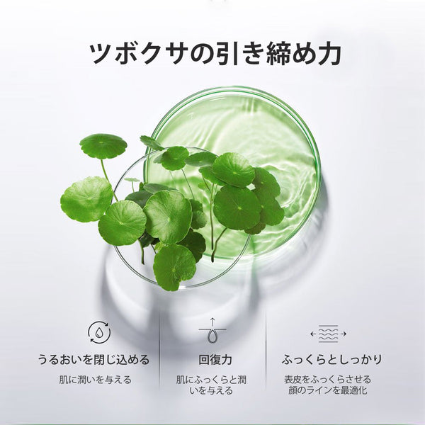 MITOMO 日本製ツボクサエキススキンケア 潤い 保湿 フアンペアボトル10mlエキス【EXSA00003-17-010】