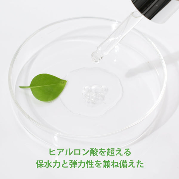Mitomo<日本製＞ドクダミ リーズ スキンケア7点セット- 自然の恵みで肌をしっかりケア！【DMSET-12】